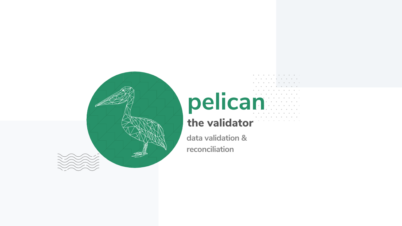 Pelican video